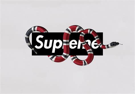 gucci x supreme wallpaper|gucci wallpaper 1080x1080.